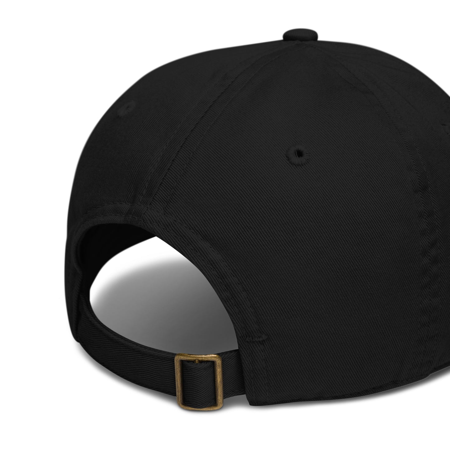 ATOP Coffee Co Logo Organic Cotton Baseball Hat rear view